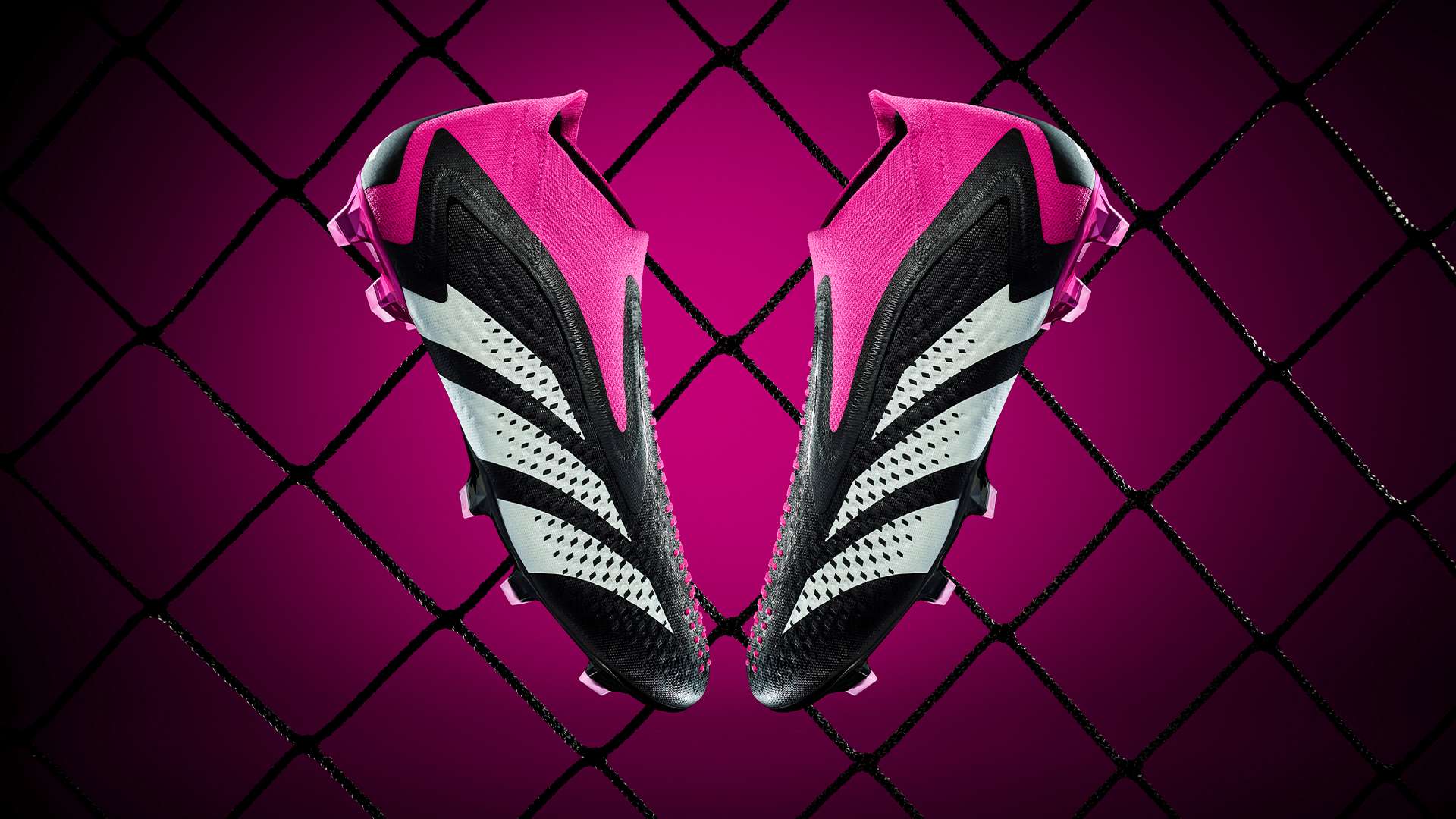 转会市场的 转会市场的